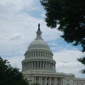  The US Capitol Washington DC